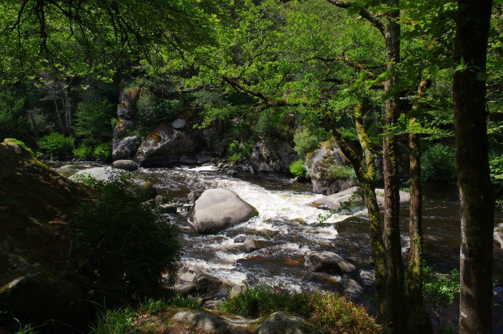498-IMGP2074