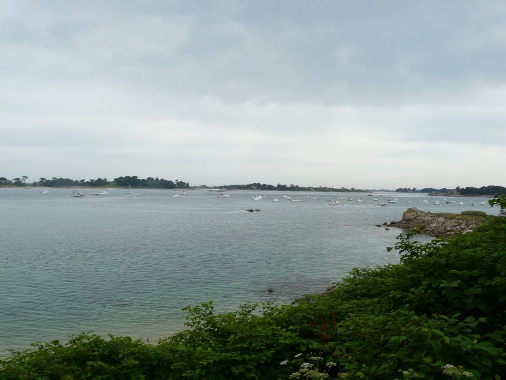154-P1020431
